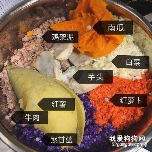 颗粒物狗粮、自做狗饭、生骨肉、剩饭剩菜剩饭,究竟该给狗狗吃什么食物?