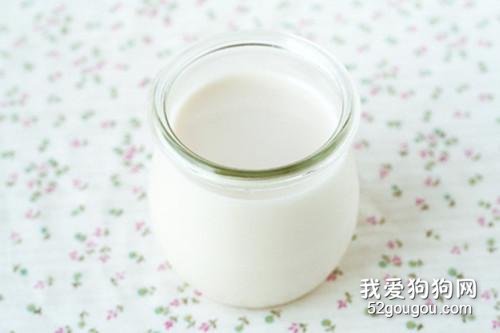 2月的法斗能喝酸牛奶吗?