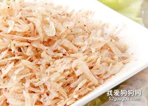 柯基耳朵什么时候竖起?柯基犬耳朵立不起来