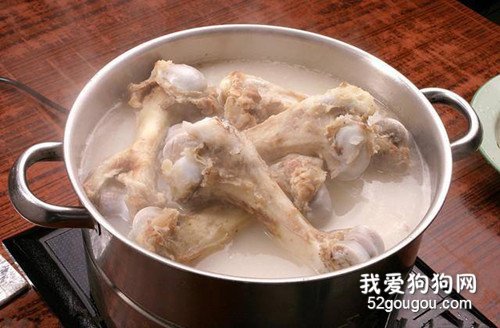 吉娃娃吃钙片吗，吉娃娃如何补钙？