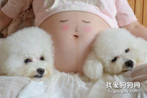 宠物丢弃现象频频发生,冠状病毒真的也会传染宠物吗?