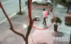<b>不戴口罩、不牵狗绳？男子遛狗纵容流浪狗被咬死 网友：严惩</b>