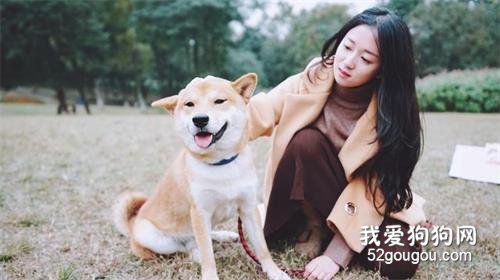 狗狗常有的7条“坏习惯”,家里的狗狗会中几个?