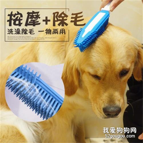 如何正确给你的爱犬洗澡?