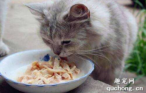 猫咪吃生肉好还是熟肉好?
