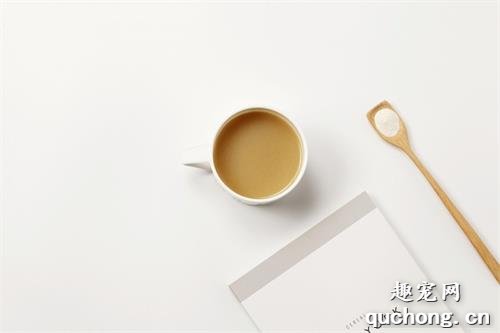 狗狗吃啥有助于排便?