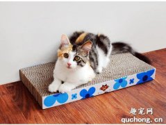 如何自制猫抓板？