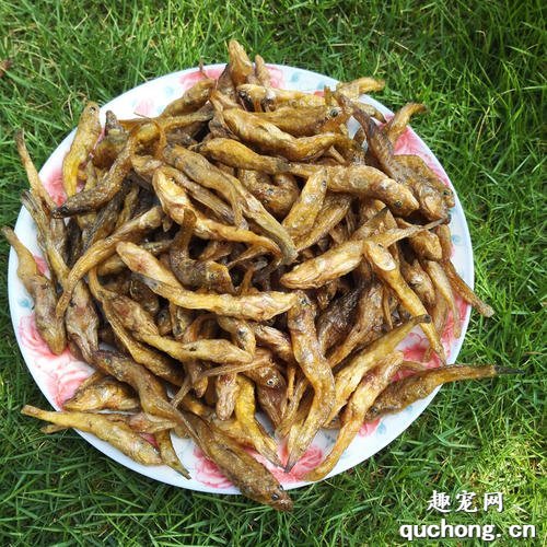 猫零食怎么做？