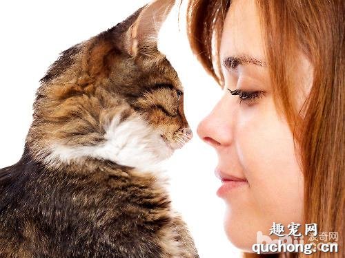养猫的好处有哪些？