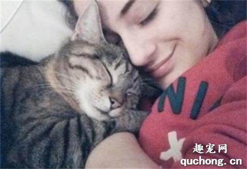 养猫的好处有哪些？