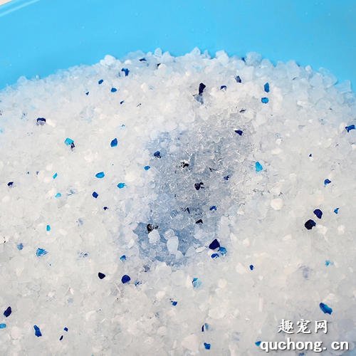 水晶猫砂和豆腐猫砂哪个好?