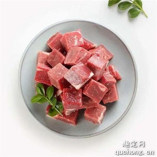 刚买的小狗带回家要注意些什么?