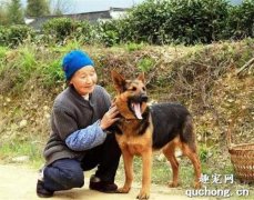 <b>70岁老人：我走了，我的狗狗怎么办？会有人和我一样照顾它吗？</b>