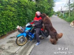 <b>泰国邮差骑车被巨熊强吻，网友一看纷纷表示：冲我来！</b>