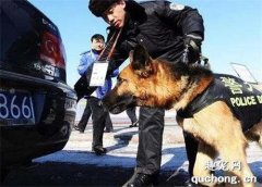 <b>网友说他被一只警犬“盯”上了，当时心情特紧张！可没想到...</b>