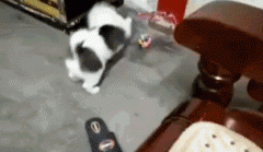 <b>菩萨保佑，今年不想再做单身狗了</b>