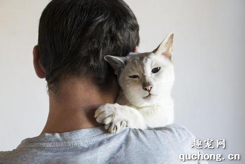 想让猫咪亲人需要怎么训练?