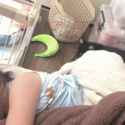 <b>每次妈妈让阿柴去叫女儿起床，它就会立马照办，手法好熟练！</b>