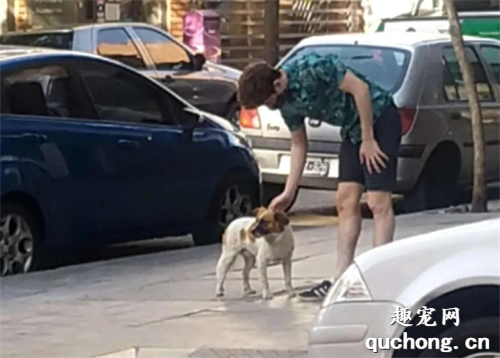 <b>好心人被流浪狗带到一扇门前，看到这张纸后，很是心疼它…</b>