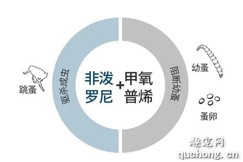 我家猫身上没虫子，还需要驱虫吗？