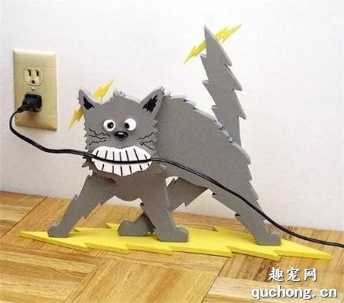 在家养猫,如何防止猫咪抓咬电线?