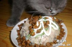 <b>能增进猫咪食欲的食物配方</b>