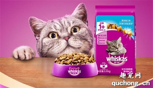 布偶猫吃什么猫粮比较好？