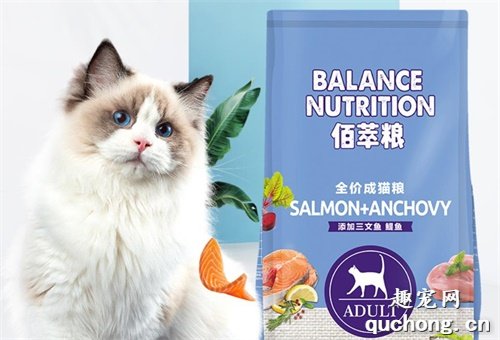 布偶猫吃什么猫粮比较好?