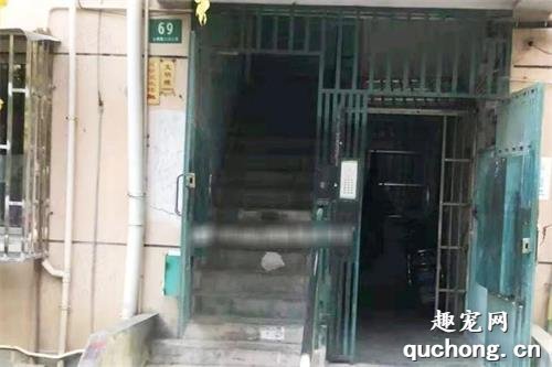 一只叫乐乐的11岁狗狗，回不了家了