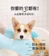 <b>给狗狗洗澡，要注意些什么？</b>