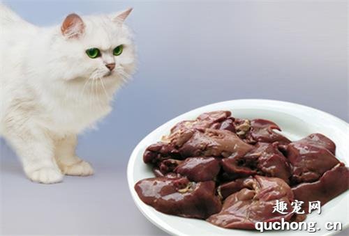 猫咪不能吃猪肝？