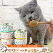 <b>猫咪猫罐头多久吃一次比较合适？</b>