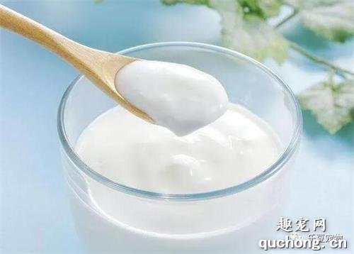 狗狗除了狗粮，最适合吃的5种“人食”，现在知道还不晚
