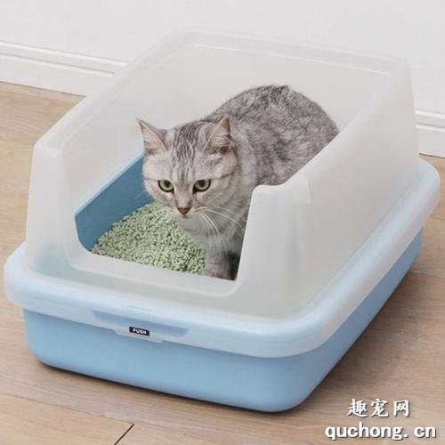 要不要为猫咪选择全封闭的猫砂盆?