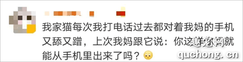 猫是如何理解离别的?网友分享的真实故事让人泪目......