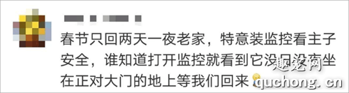 猫是如何理解离别的？网友分享的真实故事让人泪目......