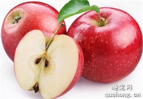狗狗吃什么可以去泪痕？这6种食物，效果杠杠的！