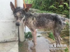 <b>谢谢你给我一个家，我会用生命去守护</b>