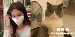 <b>美女一摘口罩，把猫都吓到了</b>