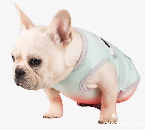 狗子大姨妈一次来多久？