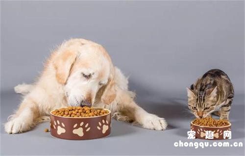 可以给狗吃猫粮吗