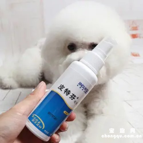 狗皮肤病用什么药好？