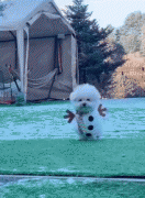 <b>谁能拒绝一只会走路的小雪人呢</b>