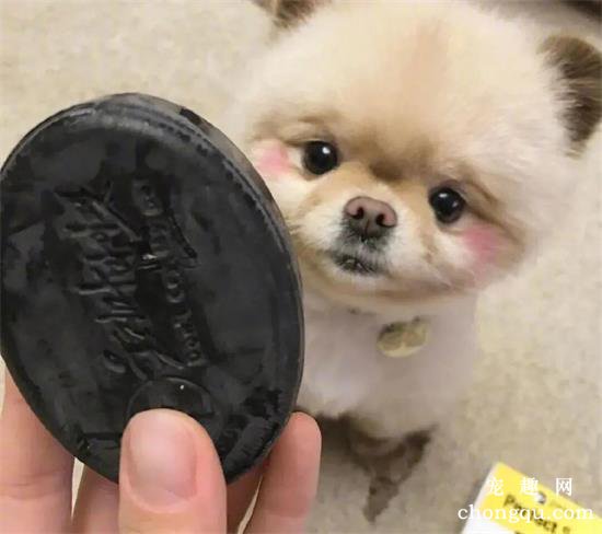 这只脸上打了腮红狗狗 简直把人萌哭了
