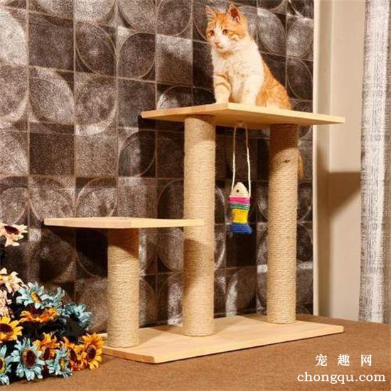 如何清理猫爬架?(猫爬架怎么清洗?)