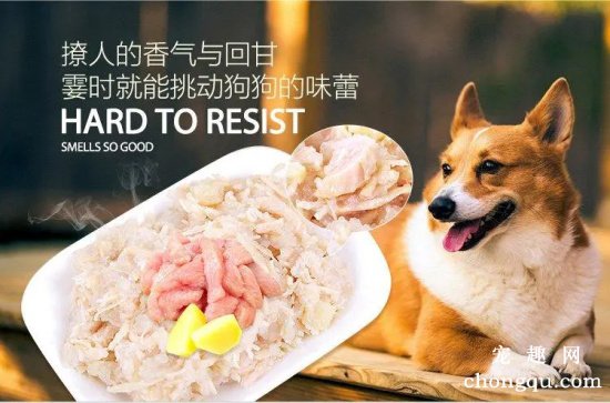 狗干粮和狗湿粮哪个对狗狗更好