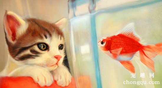猫为什么喜欢吃鱼？