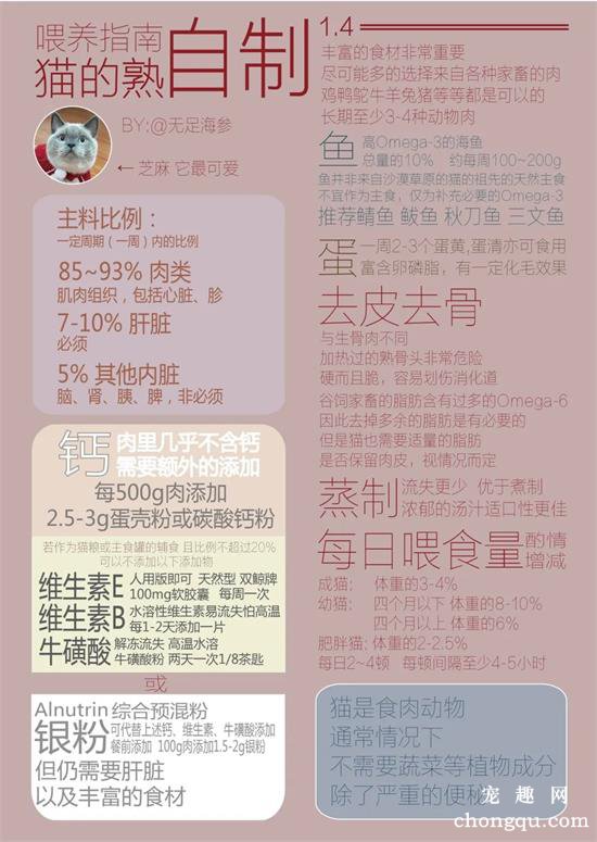 生骨肉和猫粮喂养猫咪指南