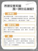 <b>精灵猫是什么品种？</b>