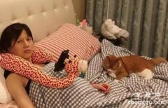 <b>怀孕期间养猫需要注意什么？(怀孕期间养猫注意事项)</b>